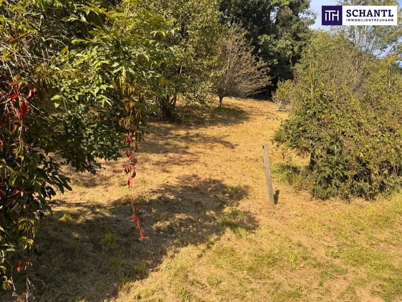 PREISREDUKTION! Attraktiver Baugrund inkl. Bewilligung für Wohnbauprojekt mit 4 Doppelhaushälften! Jetzt Anfragen!