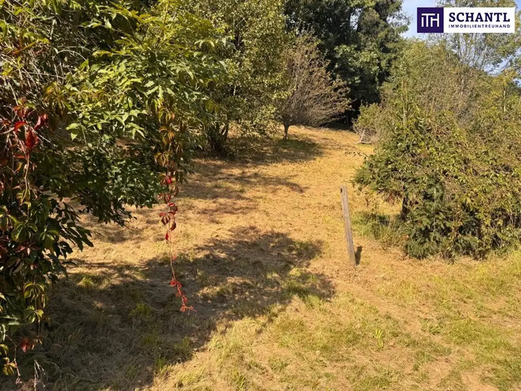 PREISREDUKTION! Attraktiver Baugrund inkl. Bewilligung für Wohnbauprojekt mit 4 Doppelhaushälften! Jetzt Anfragen!