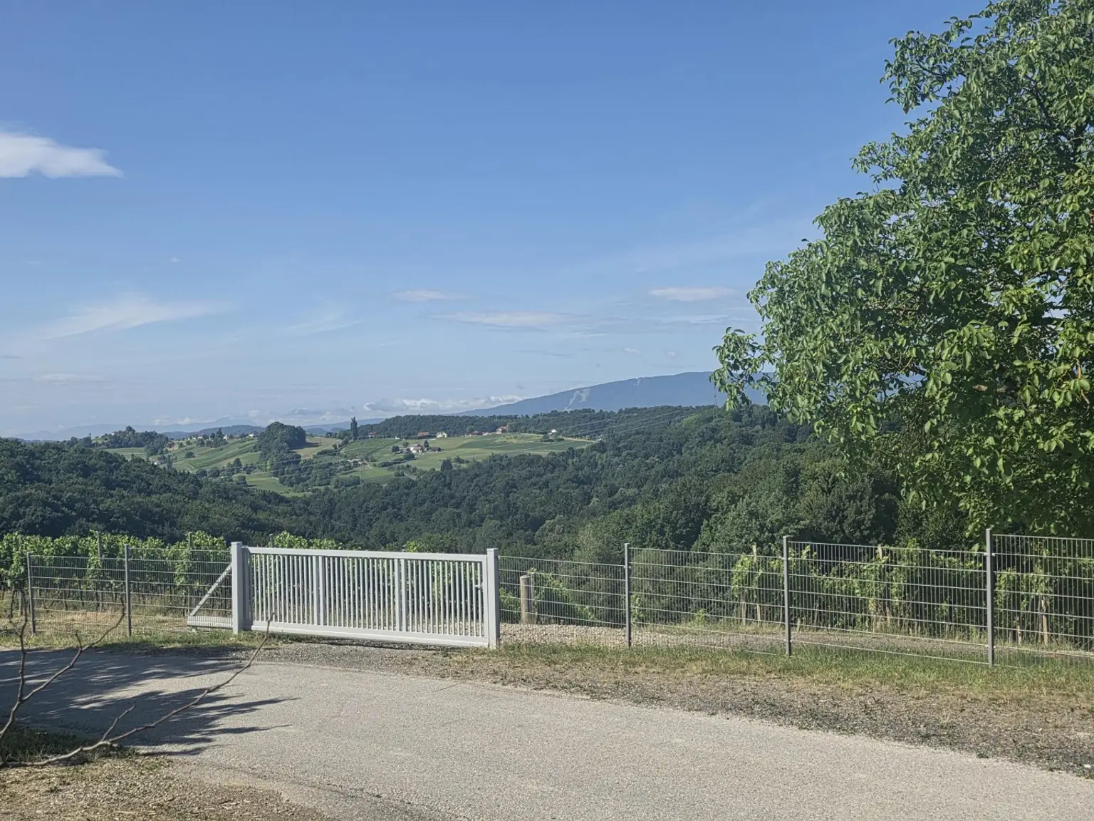 Baugrund + Freiland (Weingarten) in Aussichtslage!