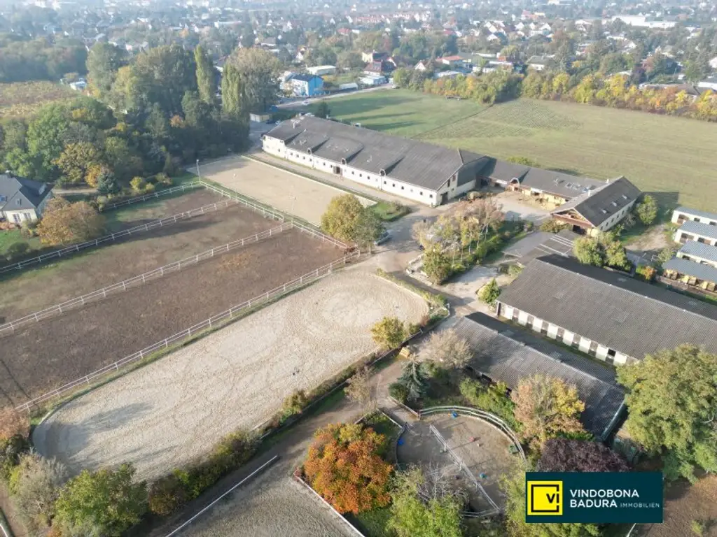 Exklusive Reitsportanlage vor den Toren Wiens – 145 Boxen | Reithallen | Reitplätze | Koppeln | Villa & Personalwohnungen