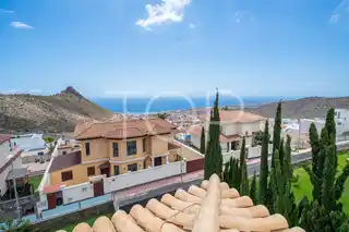 ZION41