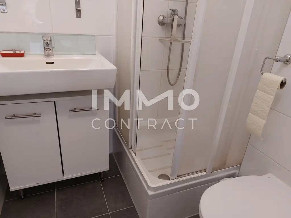 NEUBAUGASSE NAHE LENDPLATZ: SONNIGE MÖBLIERTE SINGLE DG-GARCONNIERE UM € 499,-- inkl. BK