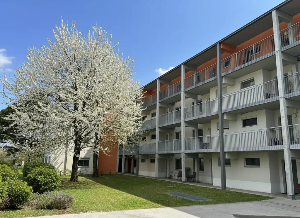 Ein Traum: Stadtwohnung in Neulaa mit unverbaubarem Blick ins Grüne