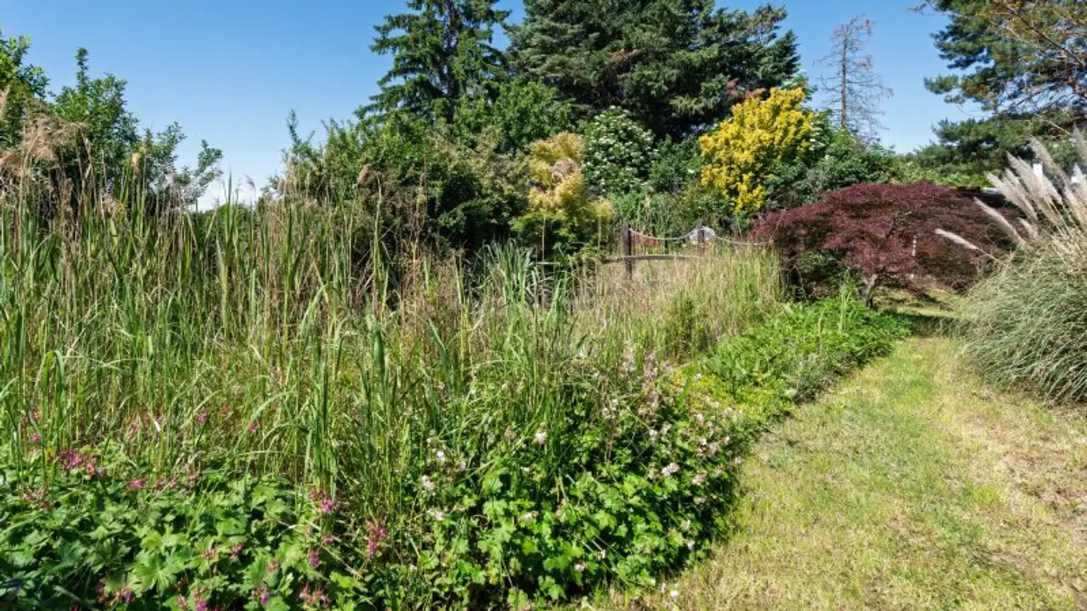 Hinterer Teil Garten