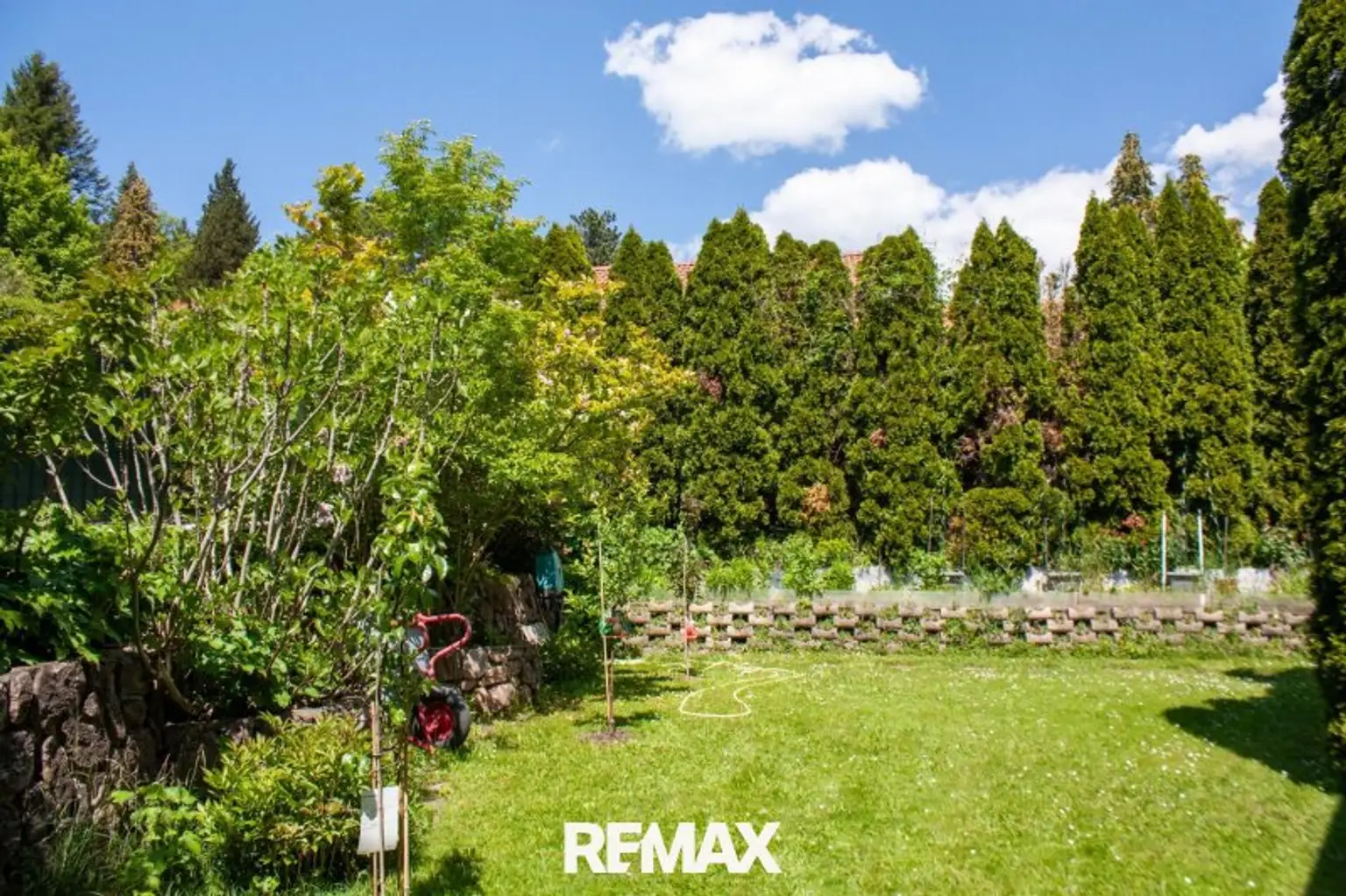 Gartenimpressionen 2