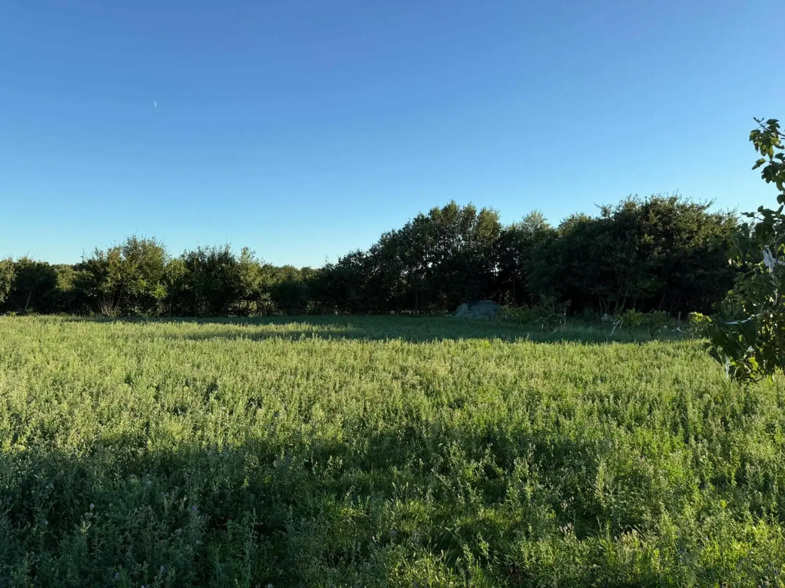 Kroatien-Istrien: Tolle küstennahe Baugrundstücke in traumhafter Naturlage