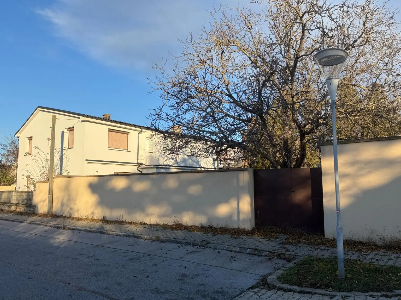 Einfahrt in den Garten