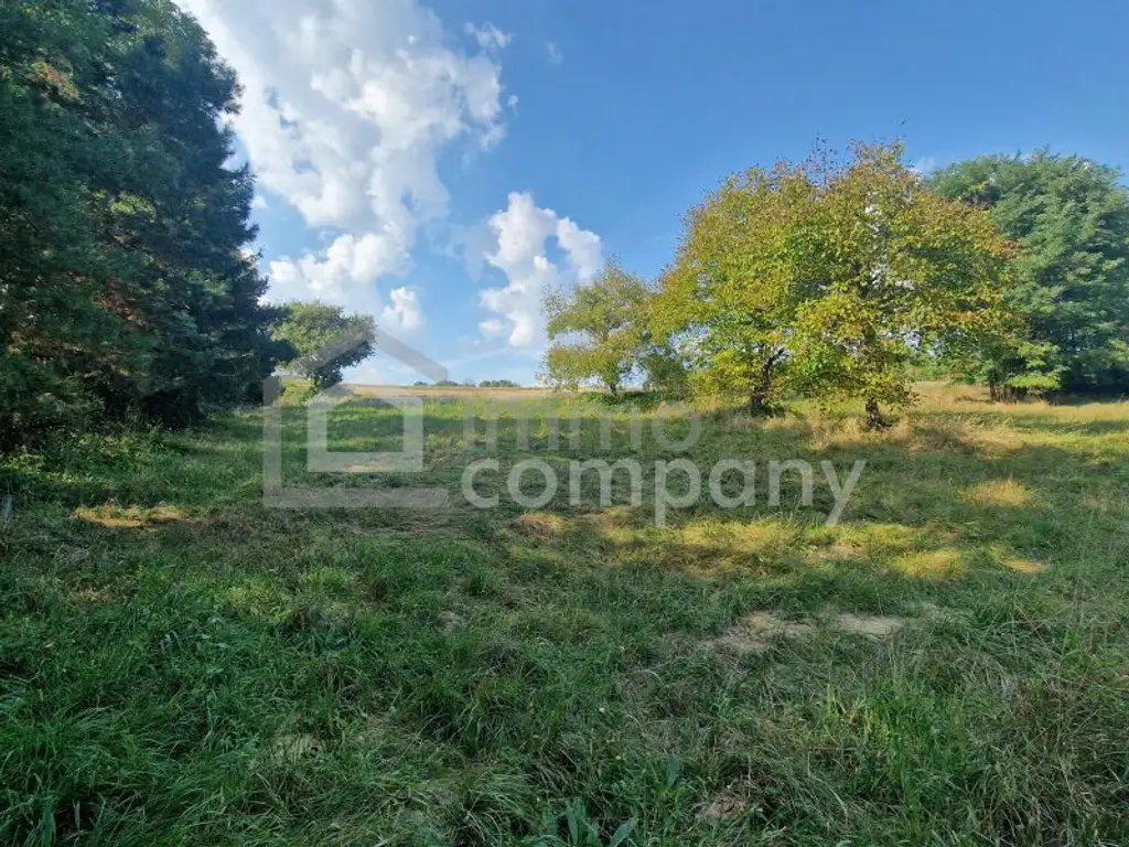 Preisreduktion! Großer Grund - Bauland Misch + GHg – 4134m² Gewerbe + Wohnen + Garten