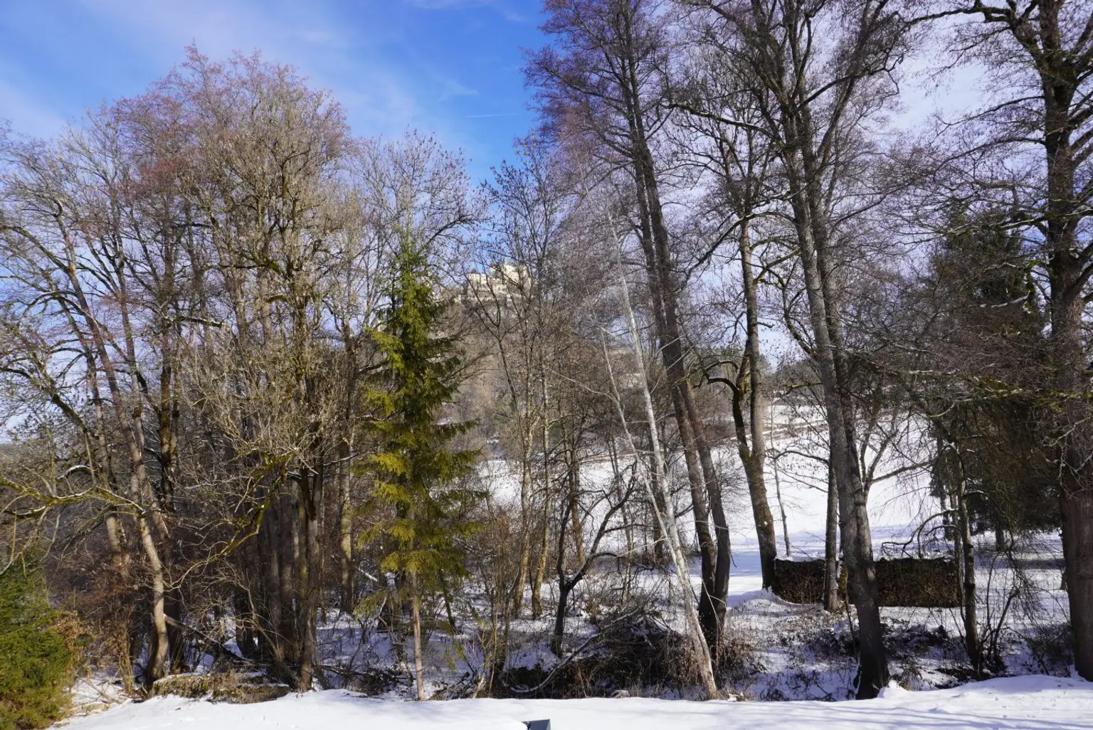 Blick auf die Burg H
