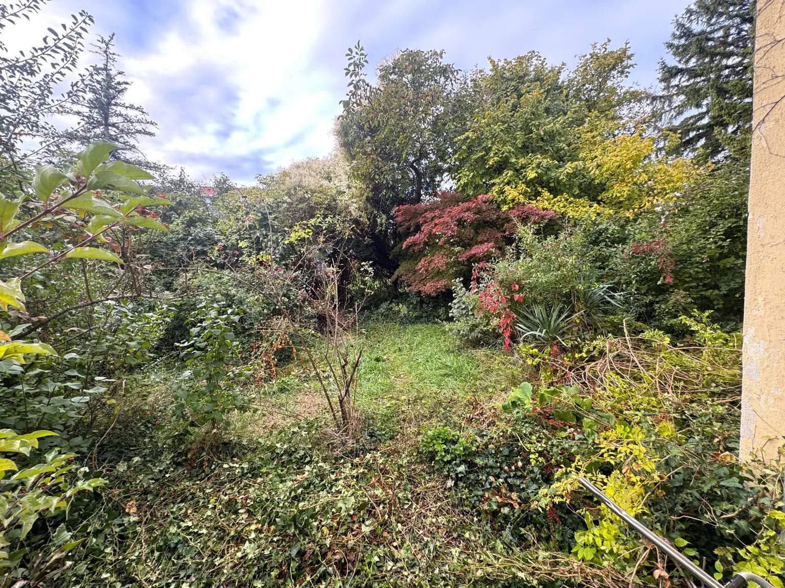 Sanierungsbedürftiges Einfamilienhaus mit schönem Garten in zentraler Lage!