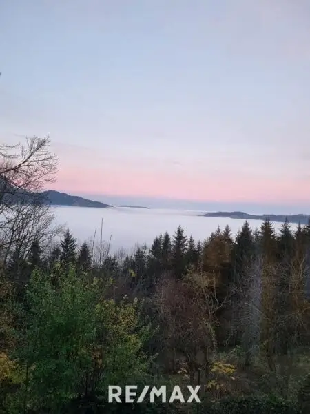 beinahe nie im Nebel