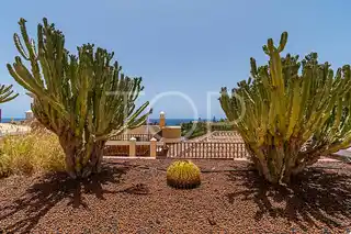 Apartment-El-Duque-Views-Tenerife-2