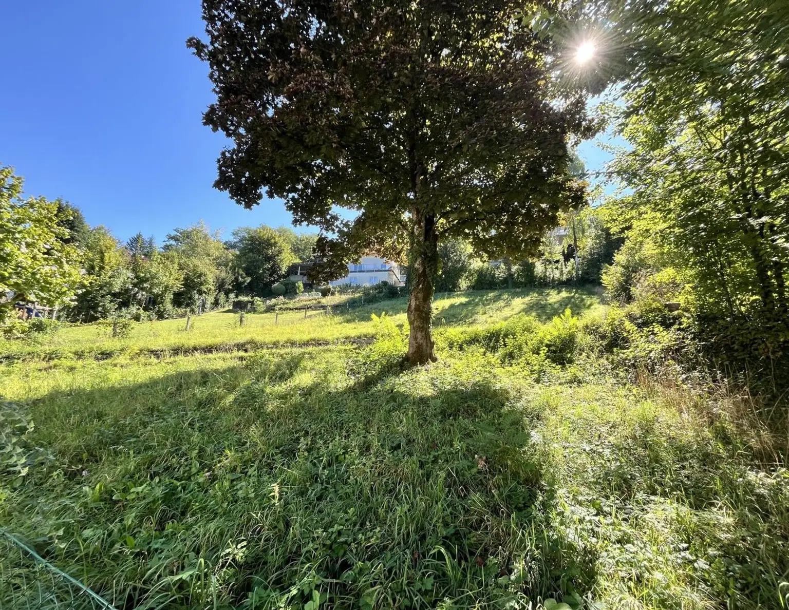 Graz-Rarität: Traumhaftes Grundstück nahe Stoffbauer mit Baubewilligung! Naturnah & stadtnah: Sonniger Baugrund mit Fernsicht - Perfekt für Ihr Familienhaus!