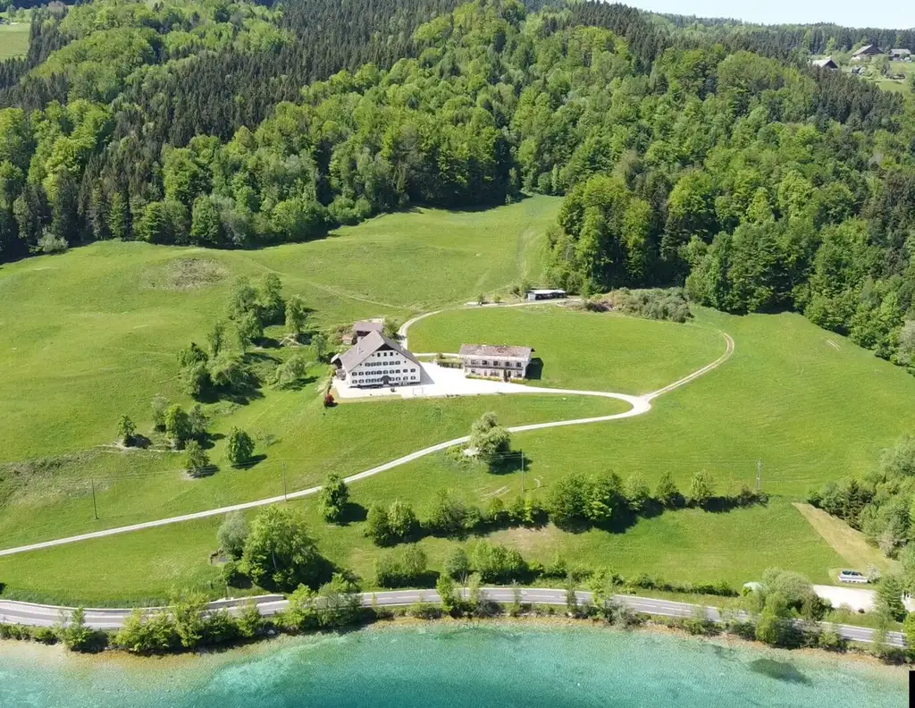 ATTERSEE: UNIKAT: Bauernhaus mit Gästehaus und Seezugang