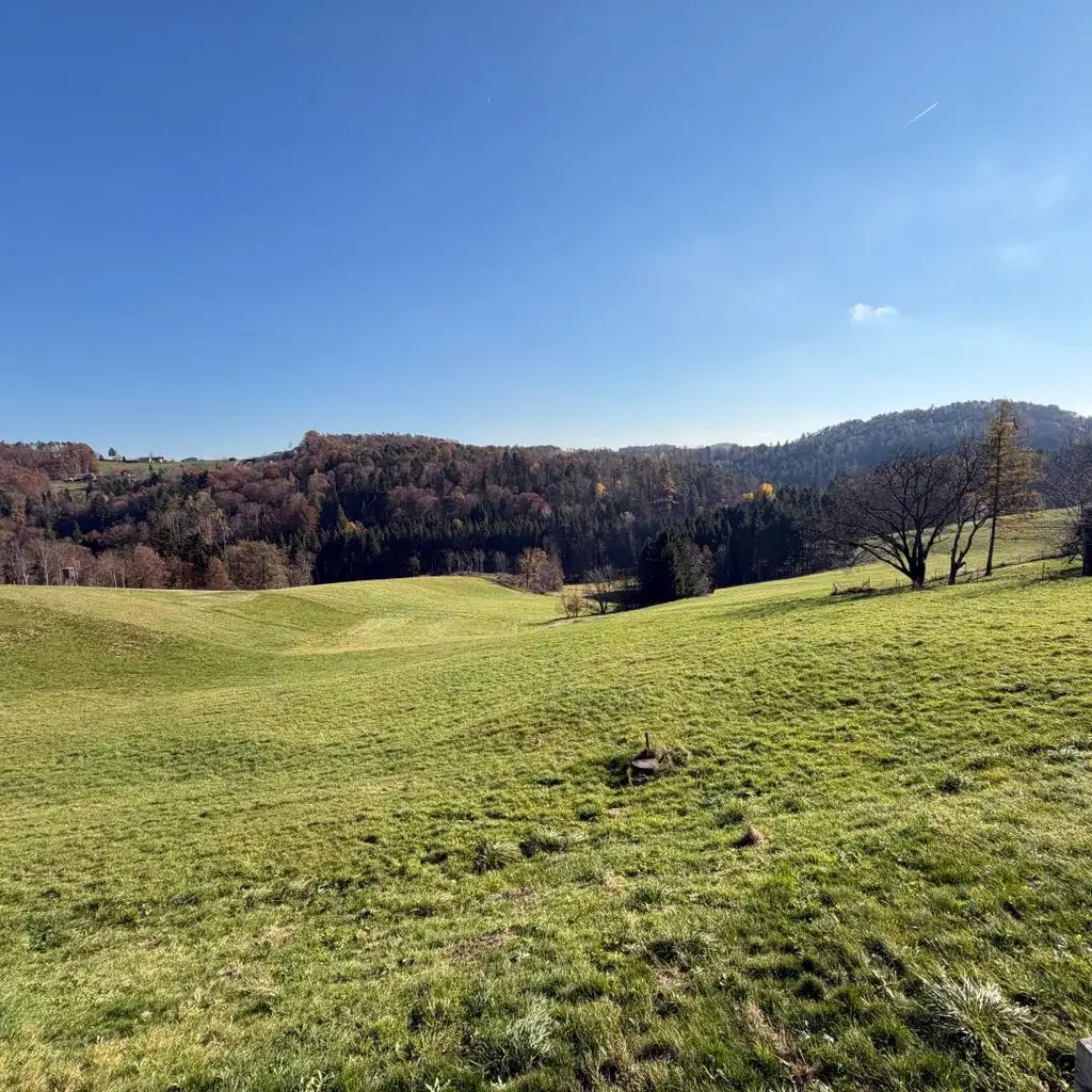 Wohnen in Aussichtslage mitten in der Natur auf  8 Ha. Grund, ehemalige Hofstelle!