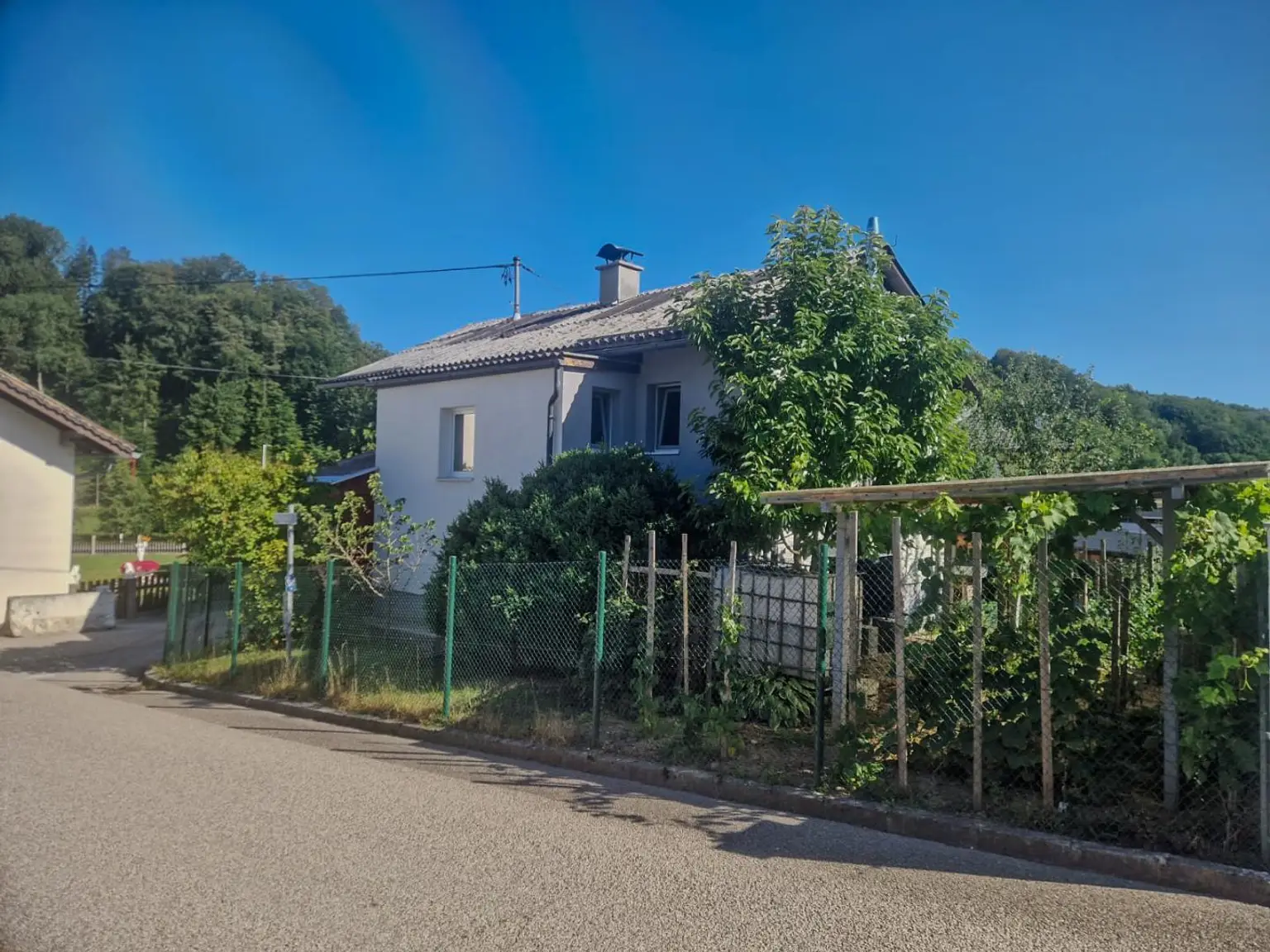 Hintergarten 2