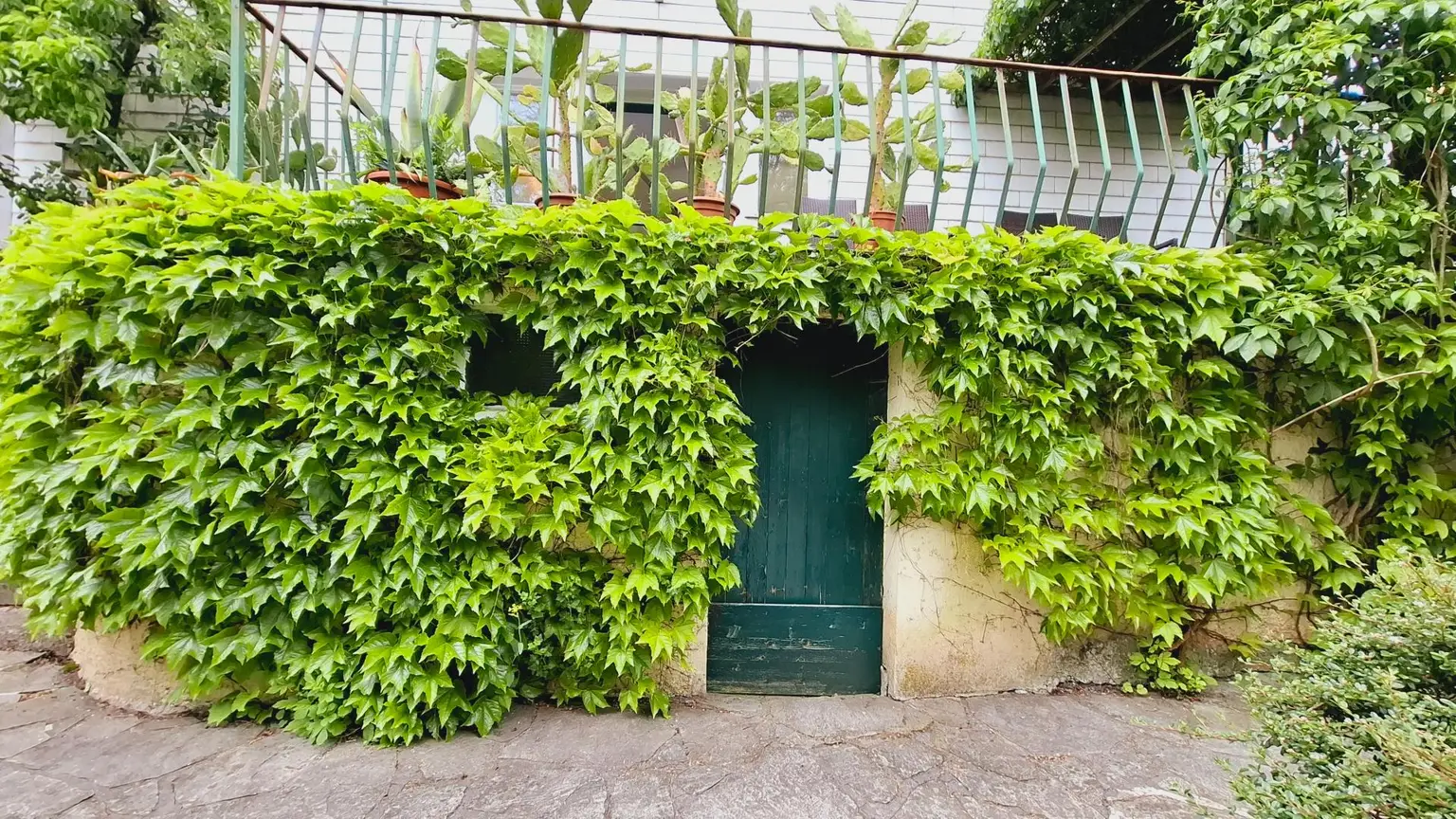 Charmantes Stadthaus in ruhiger Lage mit Potential