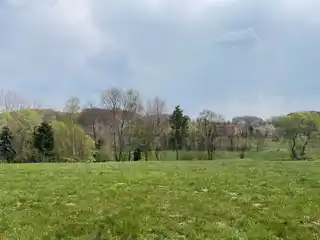 Blick zum Wald