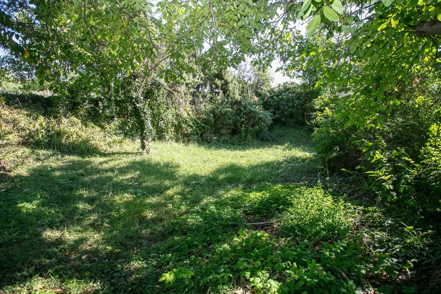 Garten 1