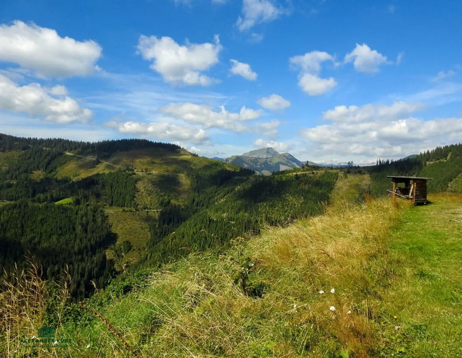 Pachtjagd - ca. 2.000 ha zentral in Österreich