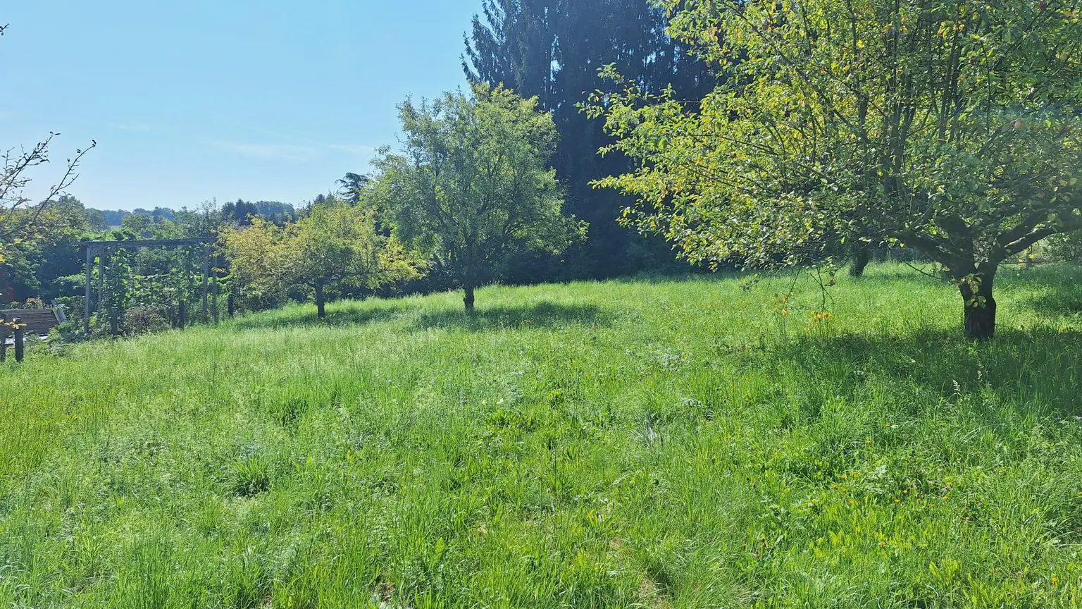 "Investieren Sie in Lebensqualität – 1.500 m² im Rasental!"