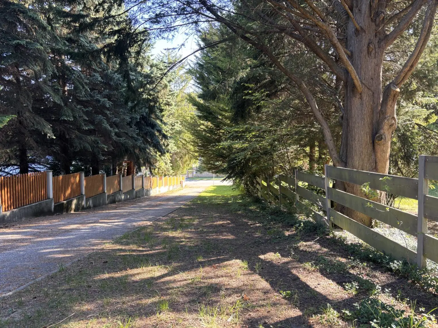Blick vom Grundstück Richtung Straße