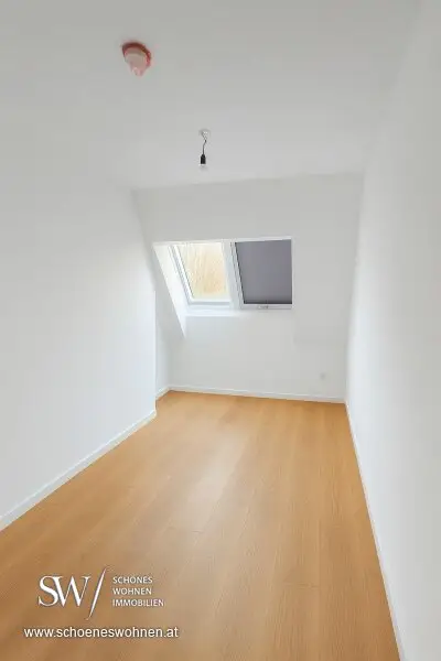 Kabinett - KI generiert