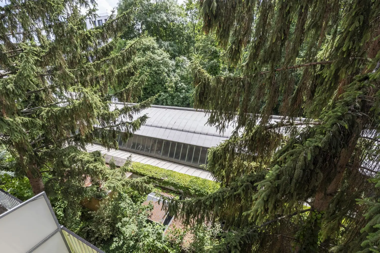 Ausblick Fenster Wohnung 1190 Wien