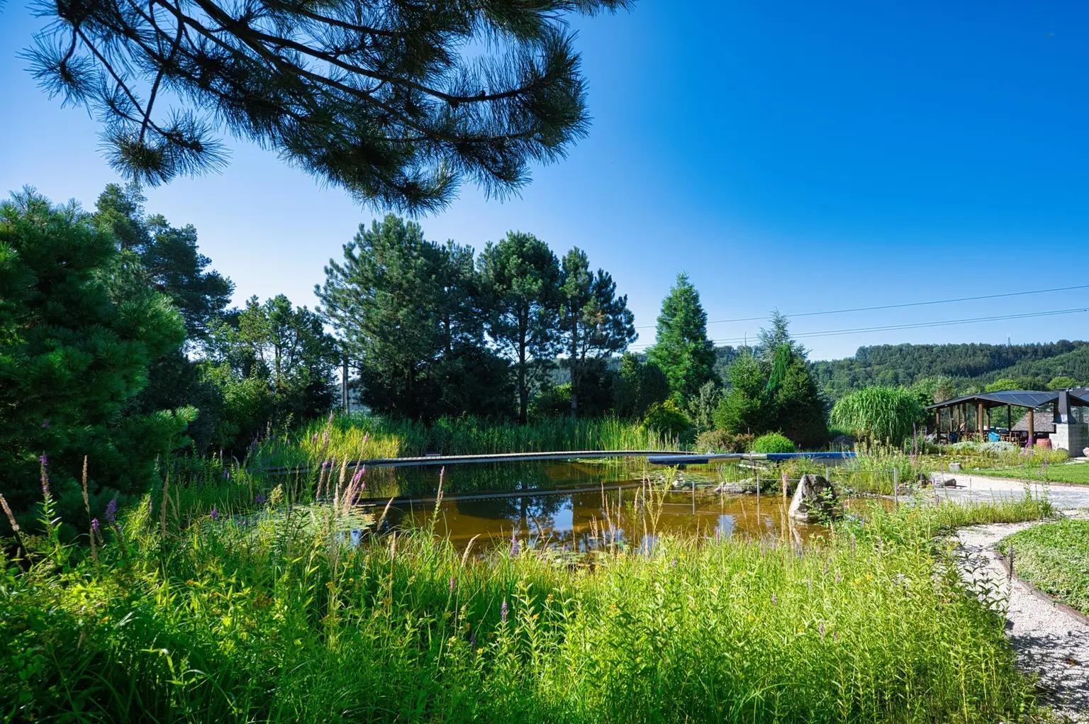 Exklusivität und Privatsphäre pur auf 2.610 m2 Grundfläche! Von der Terrasse in den Schwimmteich.