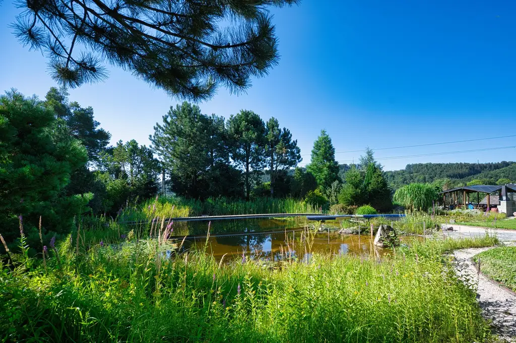 Exklusivität und Privatsphäre pur auf 2.610 m2 Grundfläche! Von der Terrasse in den Schwimmteich.