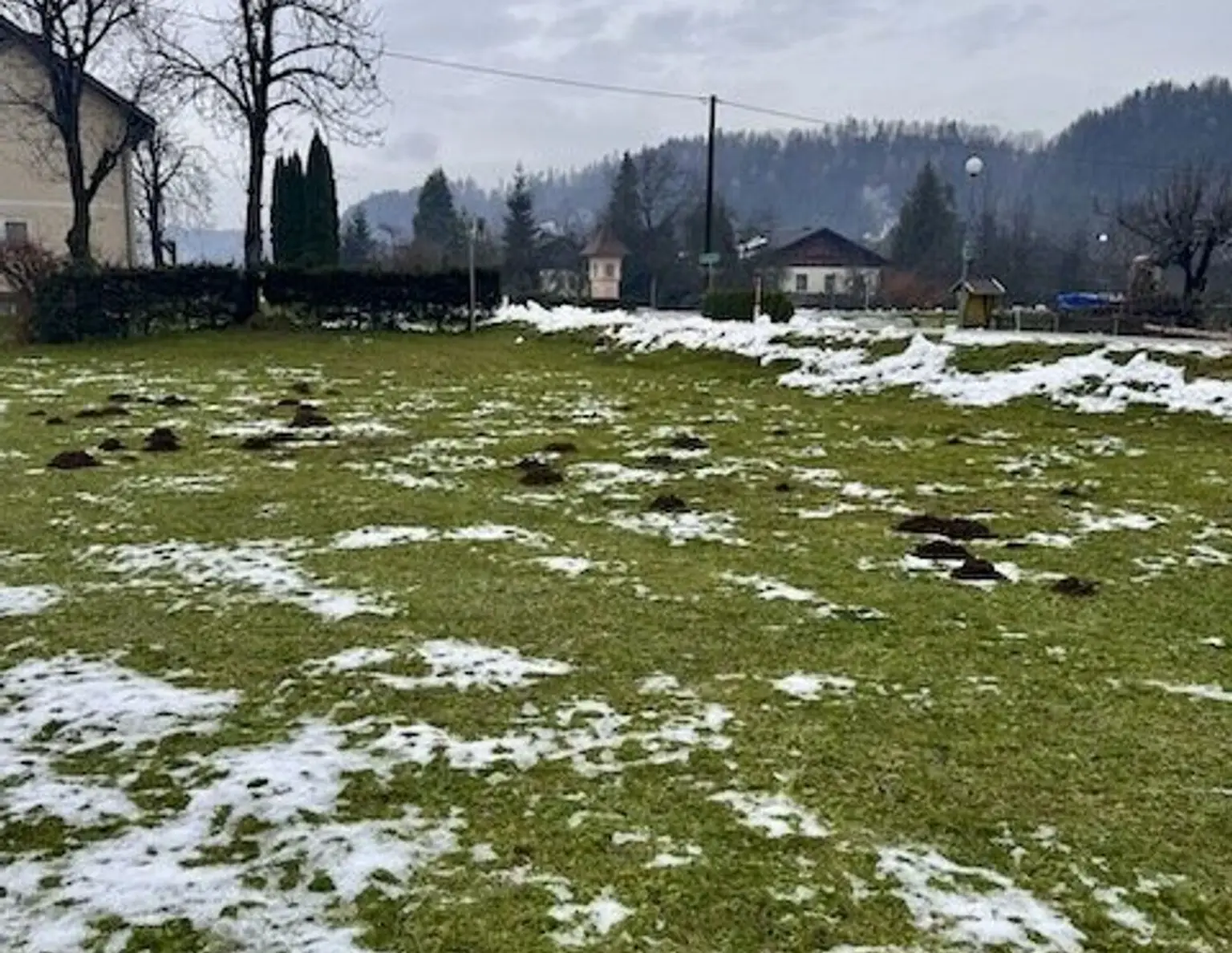 Sonniges Baugrundstück in Sittersdorf