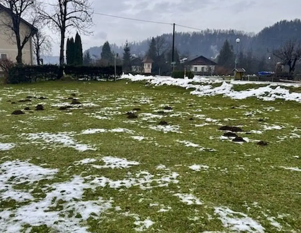 Sonniges Baugrundstück in Sittersdorf