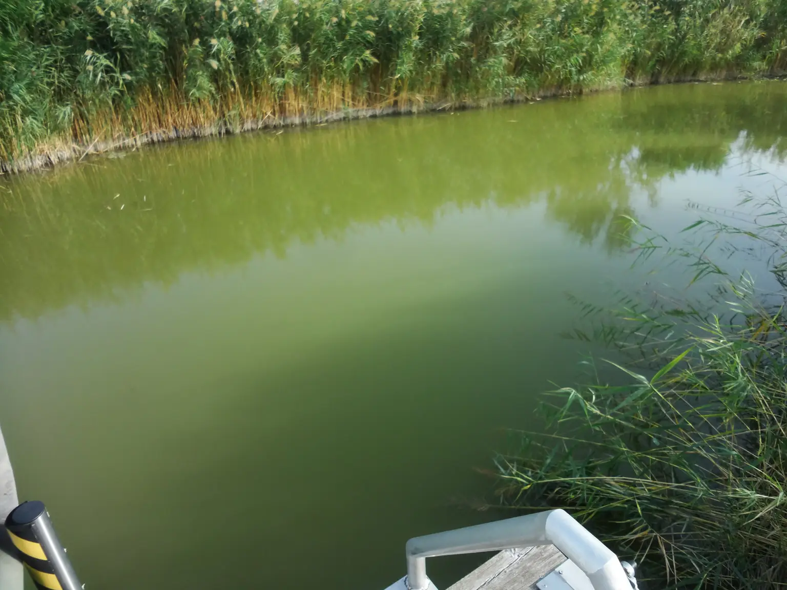 Kanal mit Bootsanlegeplatz