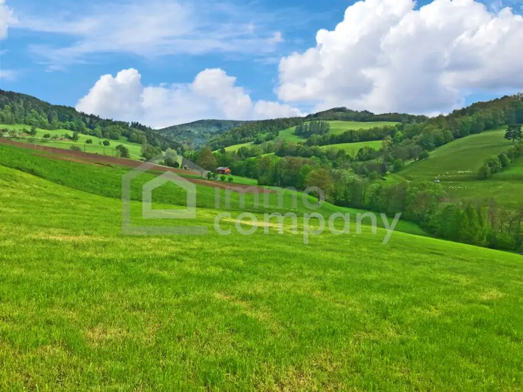 Uriges Landhaus - Traumlage - plus  Pool - Grundfläche 1.594 m² - Renovierung und Schönheitsreparaturen sind erforderlich, dennoch sofort beziehbar!