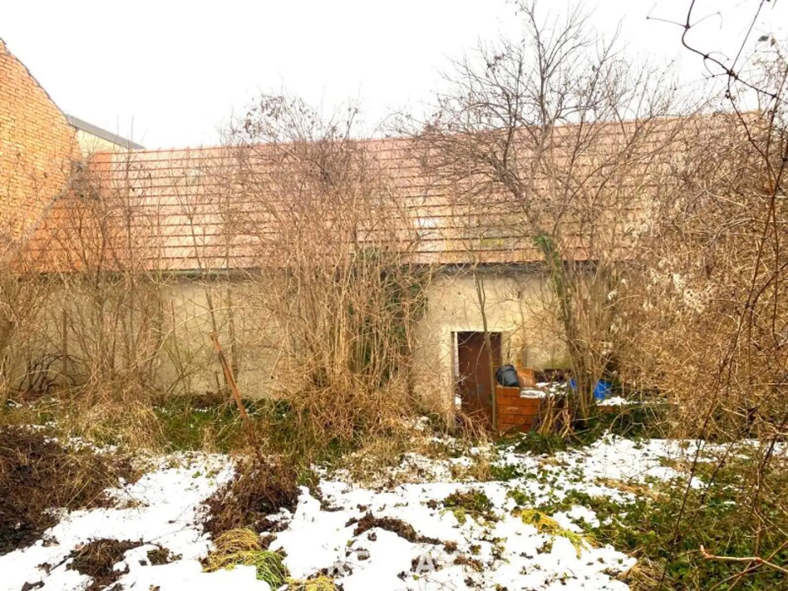 Scheune Rückseite Ansicht