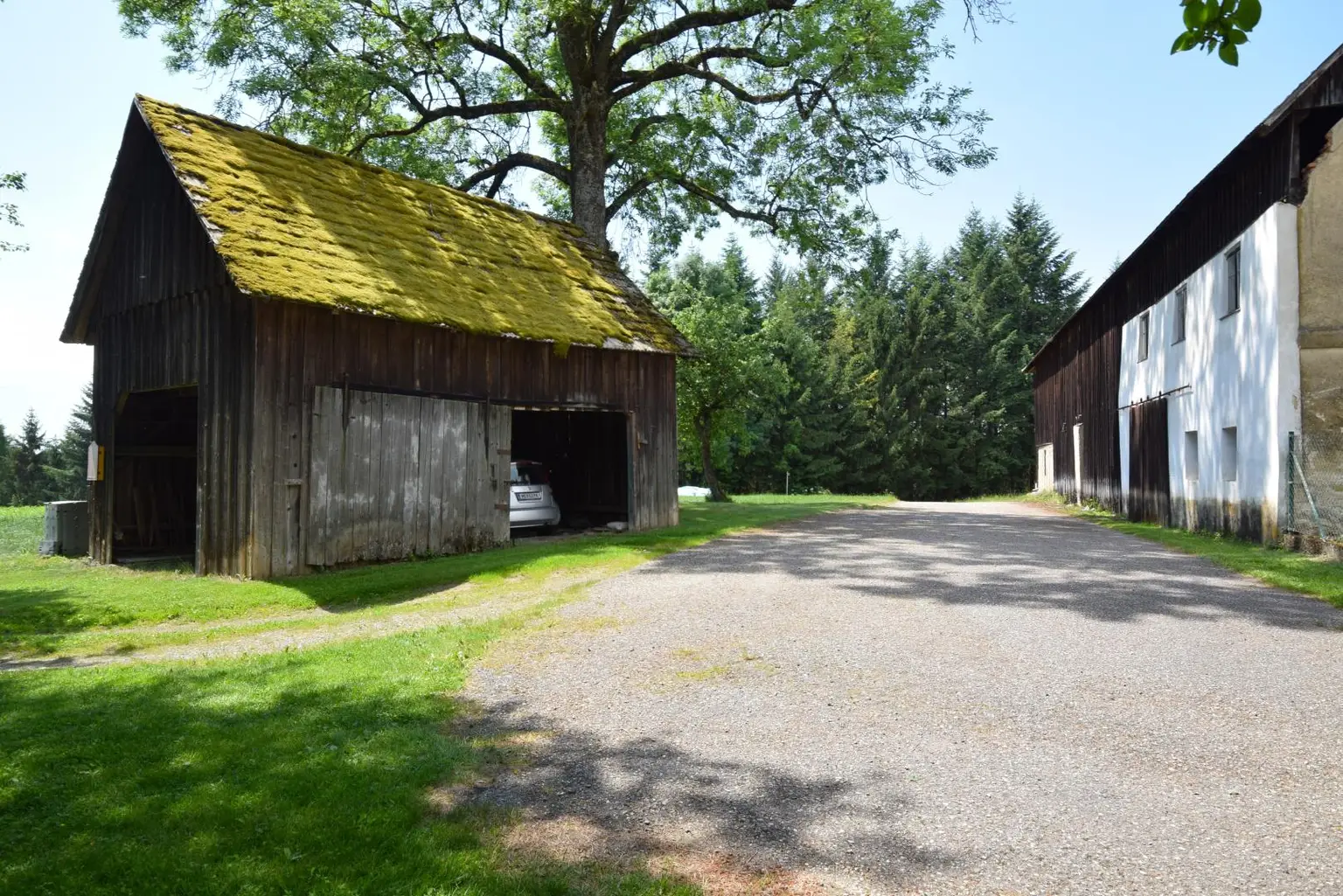 Holzhütte, links Servitutsweg zum Acker
