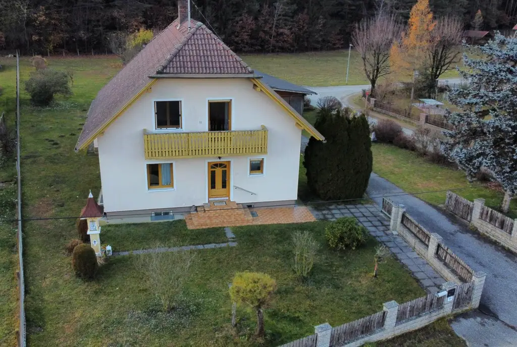 Gepflegtes Haus mit großem Grundstück in Pudlach!