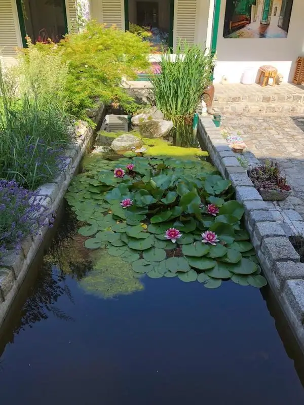 Einzigartiges Refugium im Burgenland