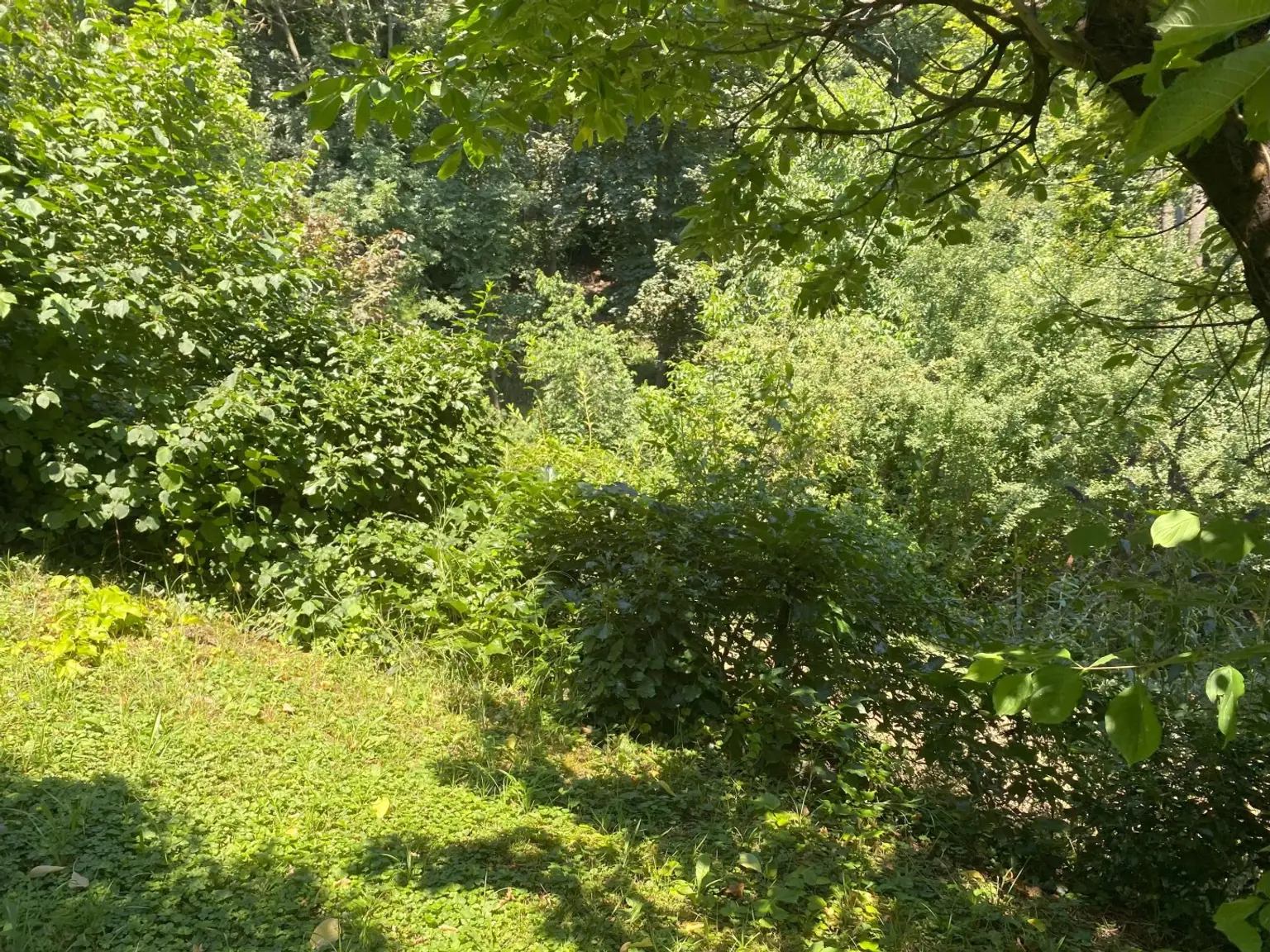 "Baugrund in 1140 Wien"