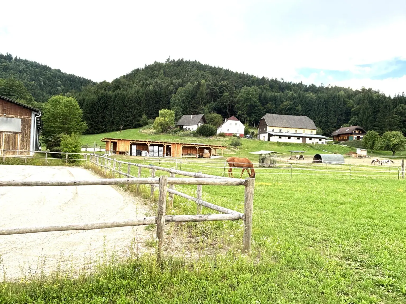 KLEINLANDWIRTSCHAFTLICHES JUWEL! CA.10 HEKTAR WALD! WIESEN! BETRIEBSFLÄCHEN!