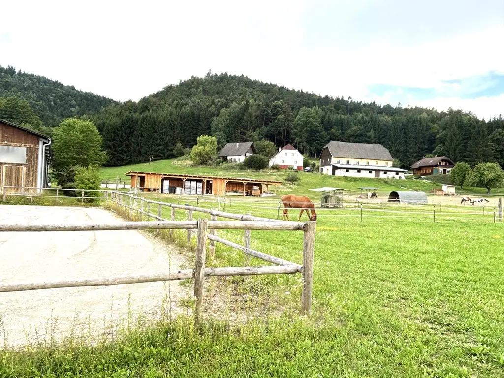 KLEINLANDWIRTSCHAFTLICHES JUWEL! CA.10 HEKTAR WALD! WIESEN! BETRIEBSFLÄCHEN!