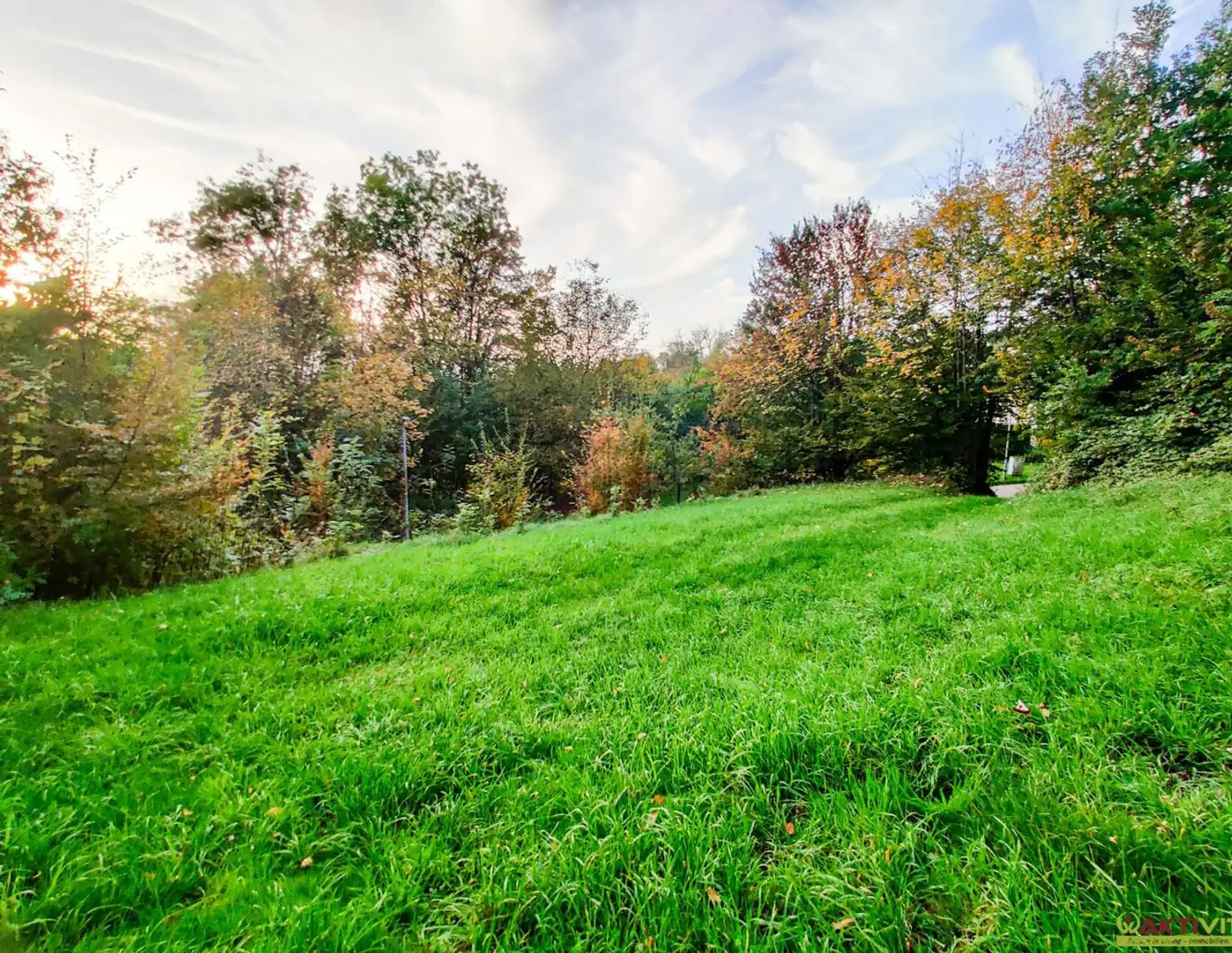 Wohnbau-Grund mit Waldanteil zentral in Lambach. - Infrastruktur und Bahn fußläufig. - Unter 15 Min. nach Wels.