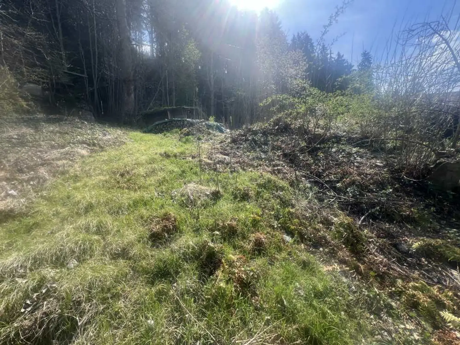 Baugrundstück in sonniger Wohnlage