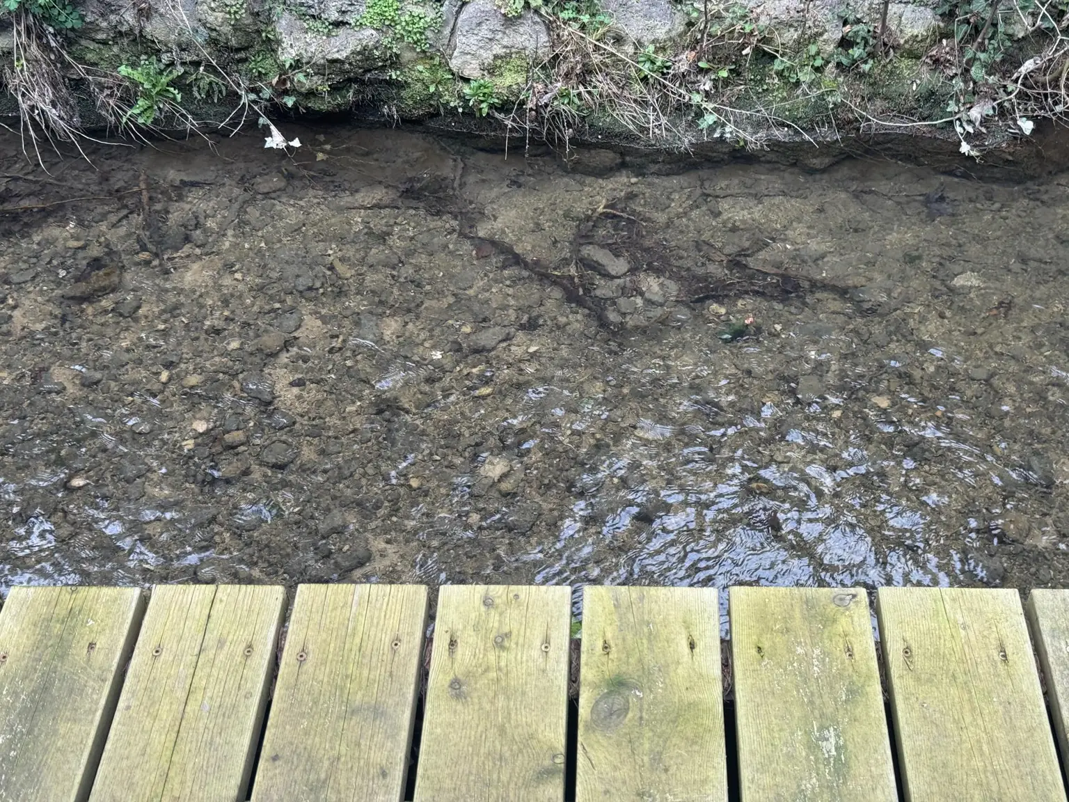 Blick aus dem Fenster ein idyllisches Bächlein