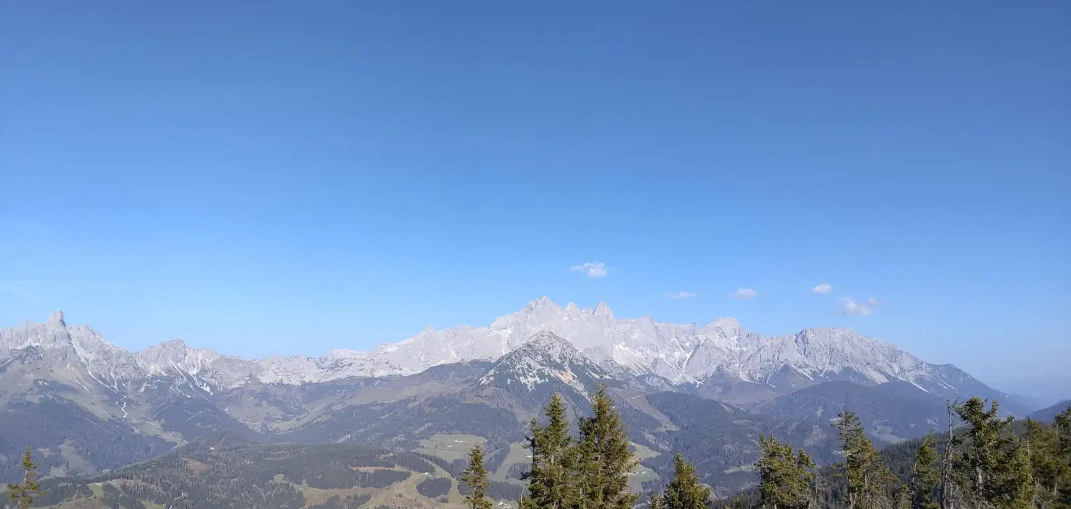 Ausblick