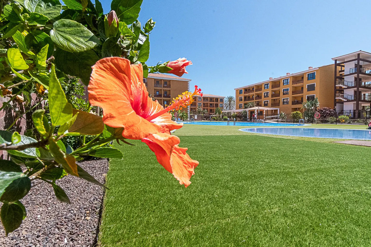 El-Mocan-Overview-Palm-Mar-Tenerife-3