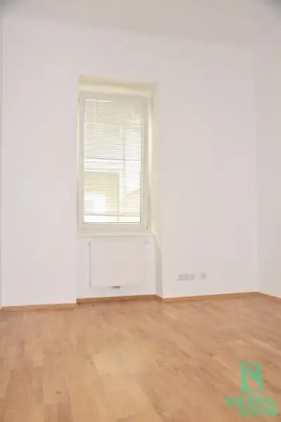 Mitten im 5.! Westterrasse - Top renovierte, große, sonnige Wohnung - Ruhelage