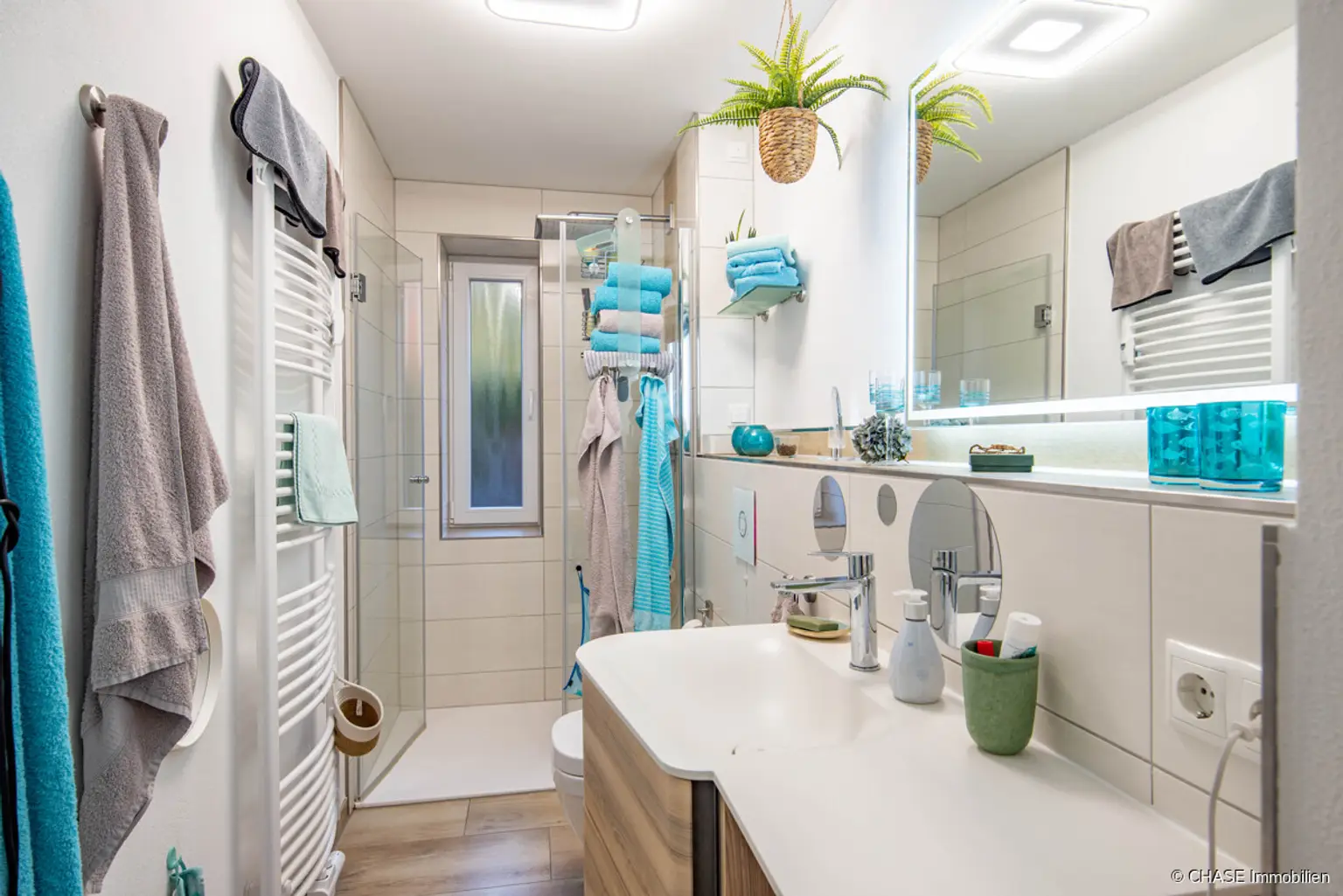 Badezimmer Ansicht 1