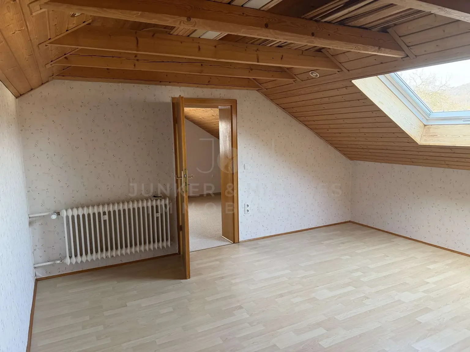 Zimmer DG