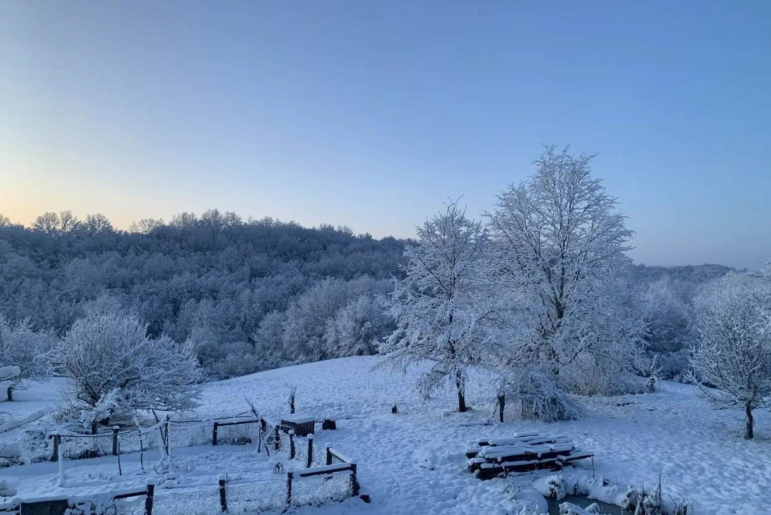 Anwesen 20 ha + Haus -43